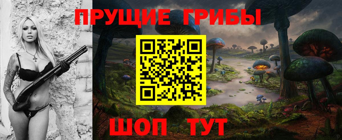 Псилоцибиновые грибы Cubensis Богданович